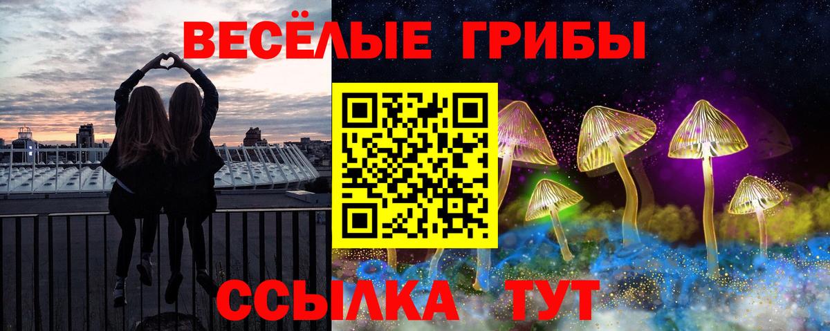 Псилоцибиновые грибы Magic Shrooms  Вход с VPN  Тамбов 