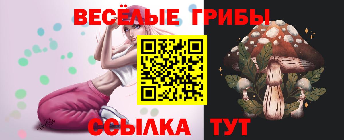 Псилоцибиновые грибы Magic Shrooms Тамбов
